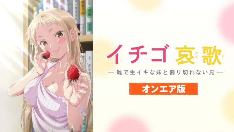 イチゴ哀歌 一雑で生イキな妹と割り切れない兄一 オンエア版