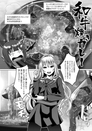 美味しそうな和牛焼きカレーのイラスト