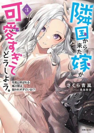 原作小説3巻表紙