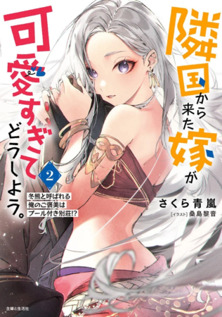 原作小説2巻表紙