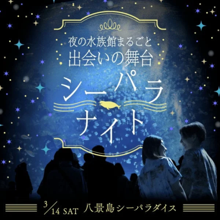 夜の水族館まるごと出会いの舞台シーパラナイト告知