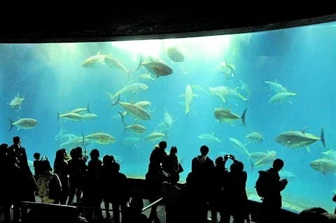 水族園内部の様子