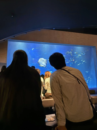 水族館の大水槽で交流する参加者