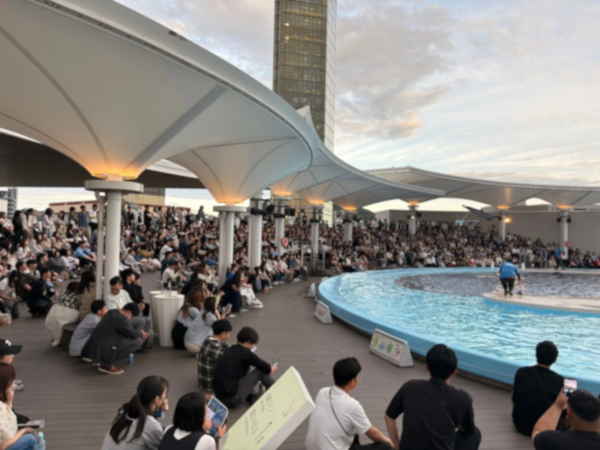 四国水族館ナイトのイルカプログラムの様子