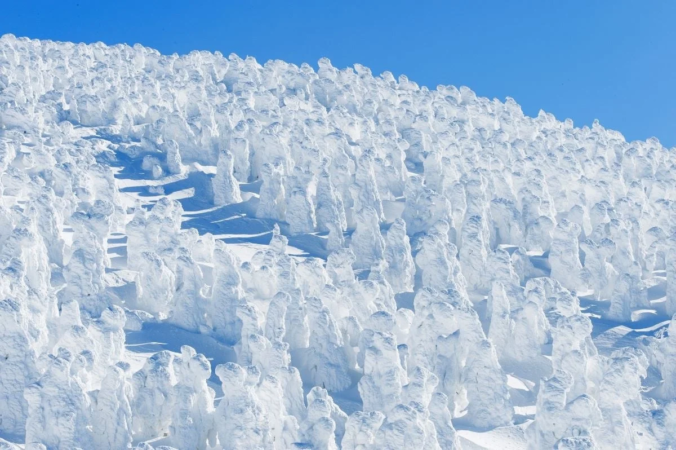 青空の下に広がる蔵王の樹氷