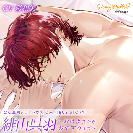 公私混同シリーズ OMNIBUS STORY『緋山呉羽 ～おはようからおやすみまで～』