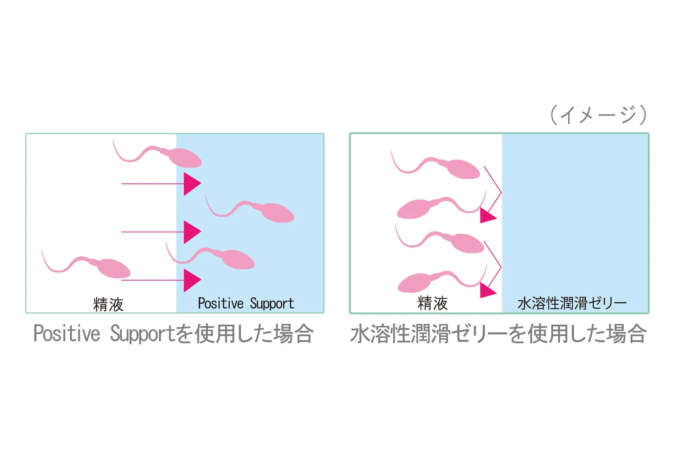 精子の運動比較