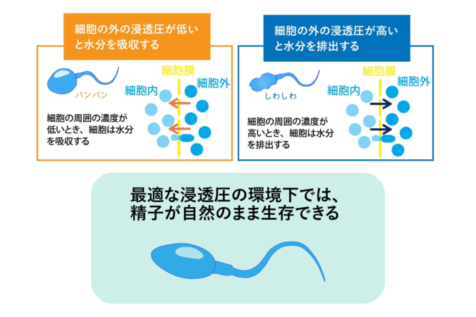 浸透圧